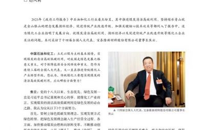 打破傳統(tǒng)走綠色轉型之路——訪十四屆全國人大代表、寶泰隆新材料股份有限公司董事長焦云